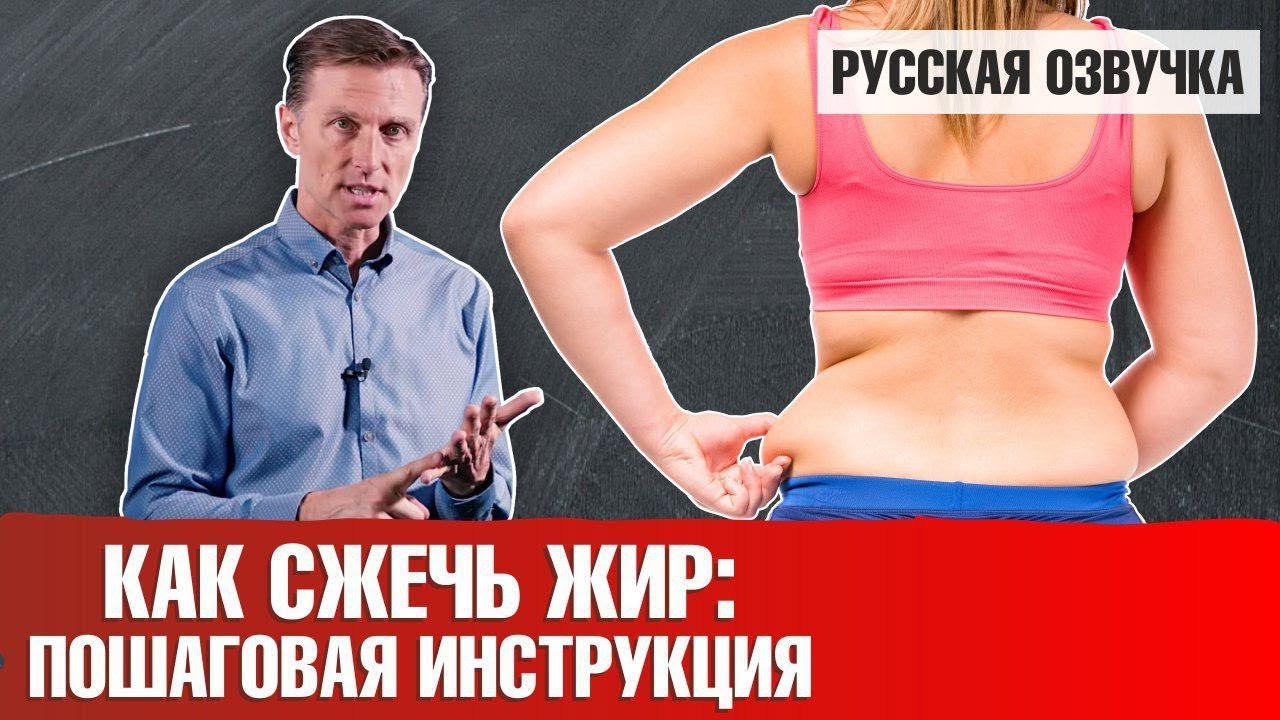 Как сжечь жир: пошаговая инструкция ?