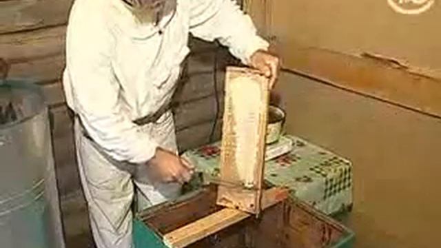 Мед настоящий и 'липовый' Как делают мед)