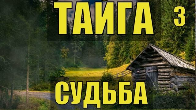 ТАЙГА СУДЬБА ВСЕ СЕРИИ ЖИЗНЬ В ТАЙГЕ ПРОМЫСЕЛ ХОЗЯИН в ЛЕСУ ОХОТА ИТОРИИ из ЖИЗНИ СЕРИАЛ ПОДРЯД
