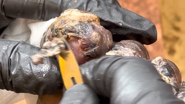 Jackson's jiggers - watch fat whole jiggers pulled out @riseupsociety.net