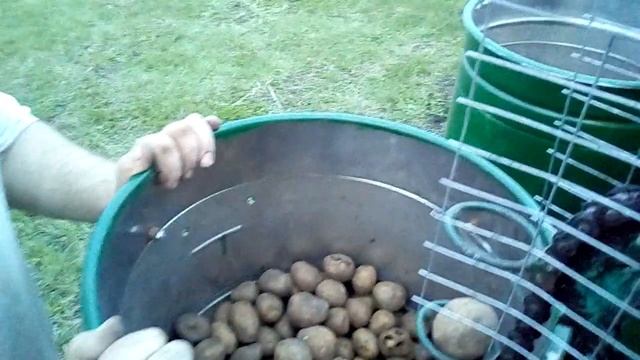 Посадка картофеля трактором Т-16