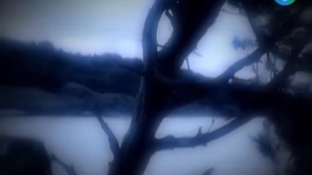Земля - Территория загадок "Как на Земле появилась нежить"