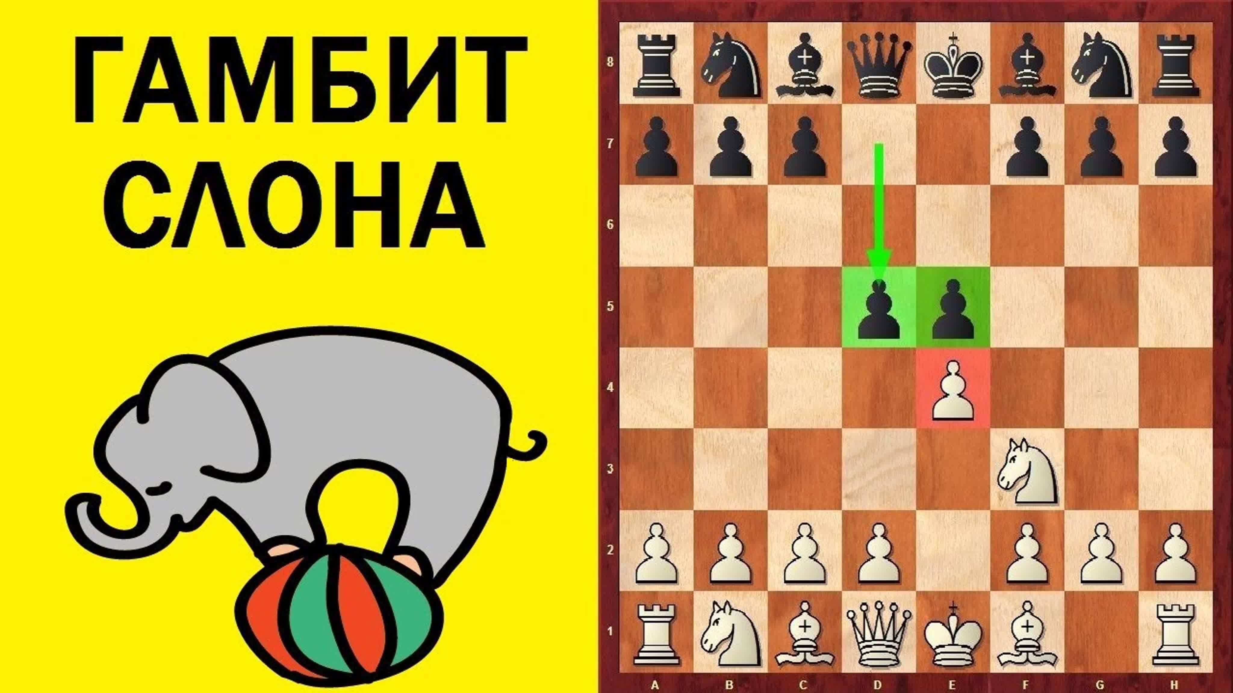 Шахматы. Гамбит слона. Школа шахмат d4-d5.