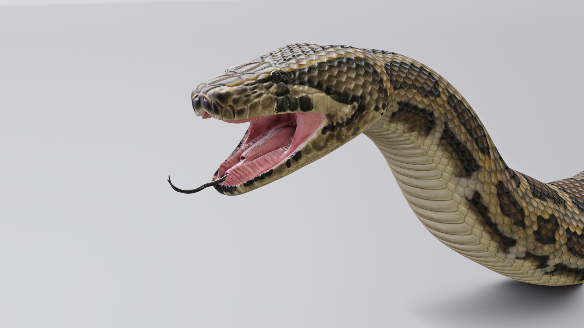 Звук змеи / Шипение змей / Sounds Snake Hangs Voice Singing