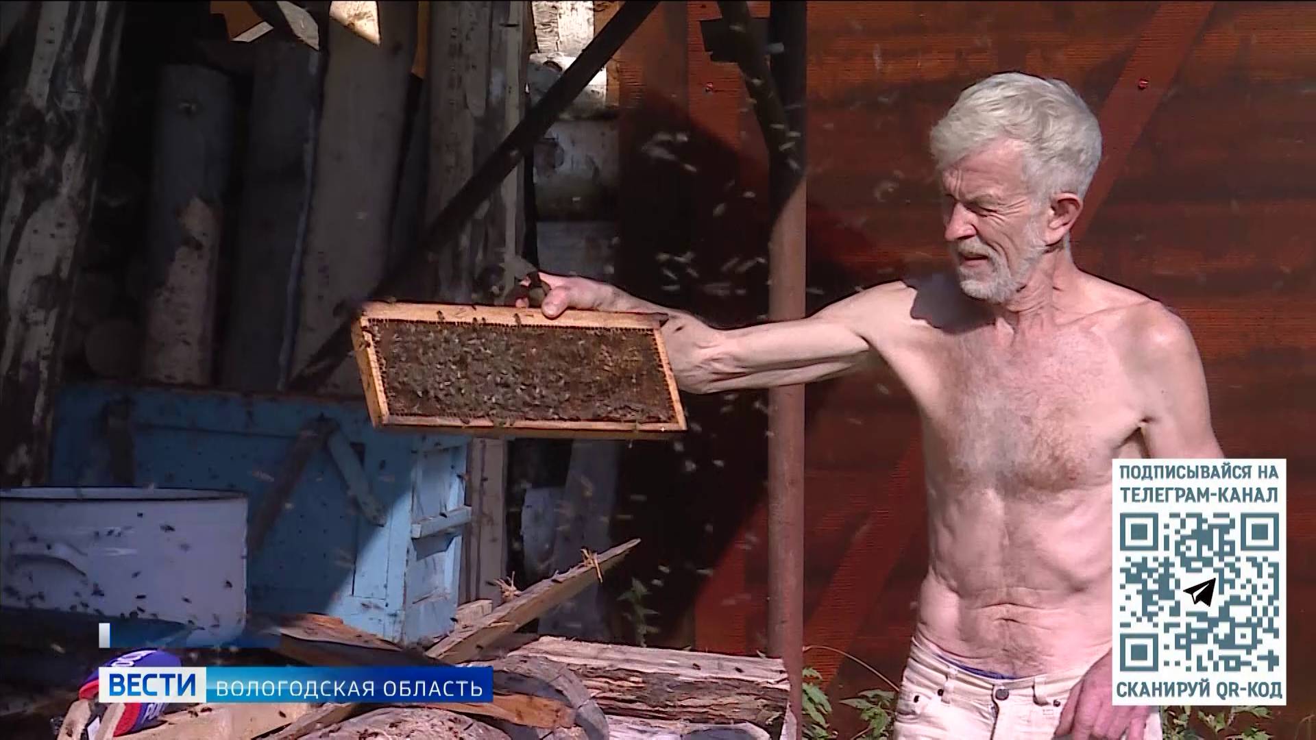 Пчеловод 80 уровня: грязовчанин научился работать на пасеке без защитного костюма
