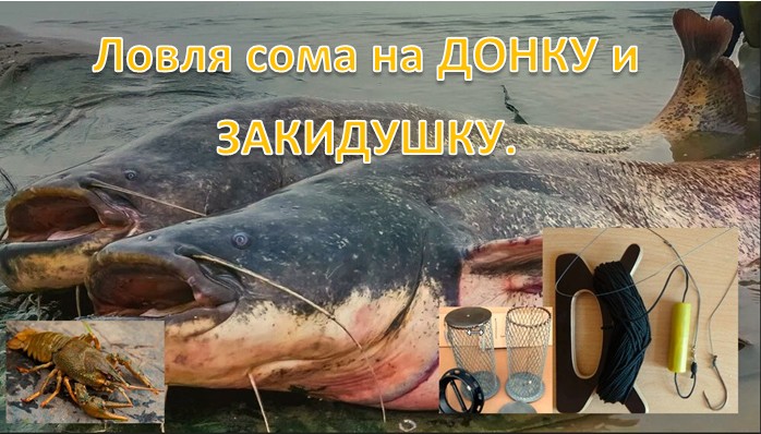 Ловля сома на ДОНКУ и ЗАКИДУШКУ.