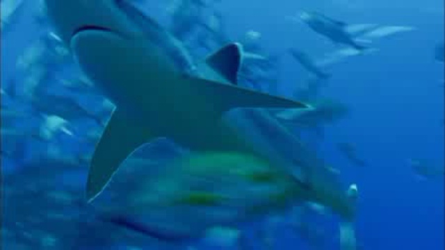 Море