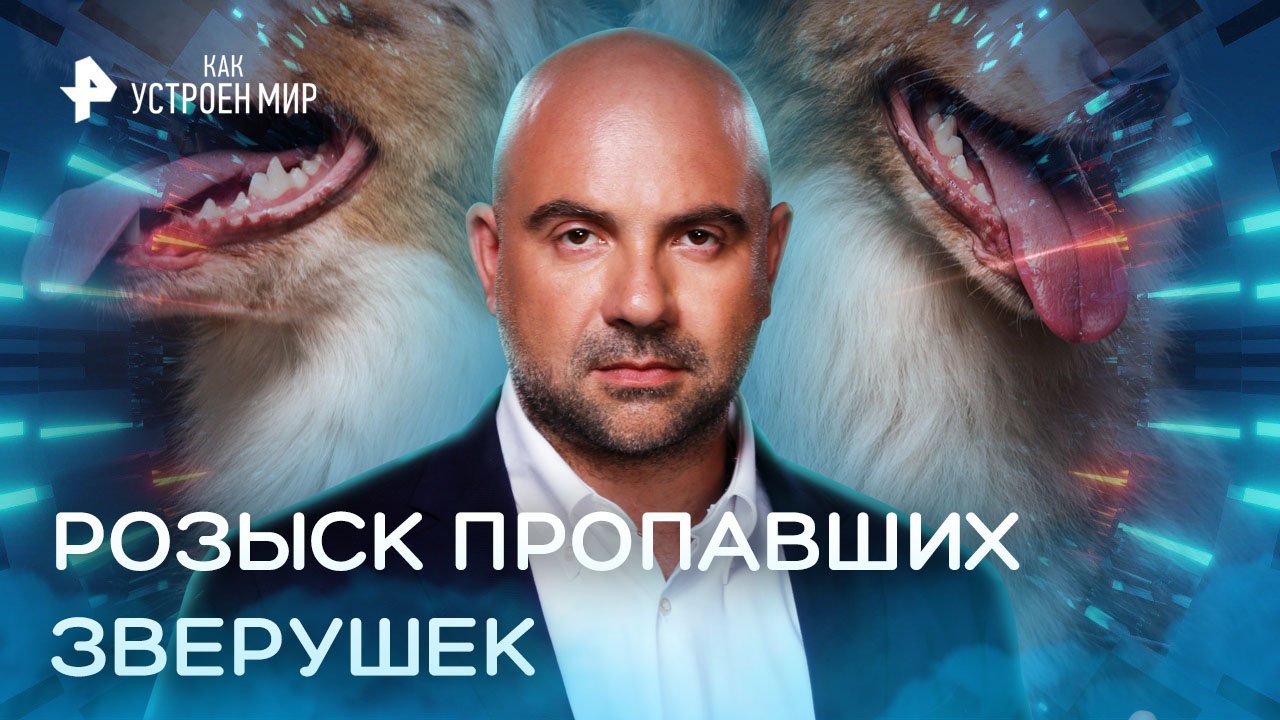 Розыск пропавших зверушек — Как устроен мир с Тимофеем Баженовым (13.12.2022)
