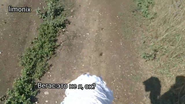 мини влог, прогулка с Вегасом#хоббихорсинг, так же видео про хоббихорминг есть на канале @keniy18