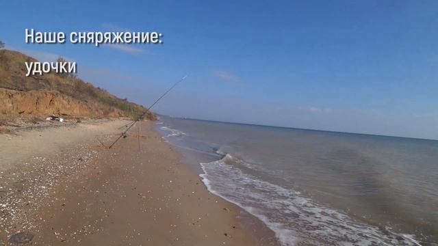 Пеленгас на Азовском море осень 2020 | Ловля на лиманского червя | Косим пелика!