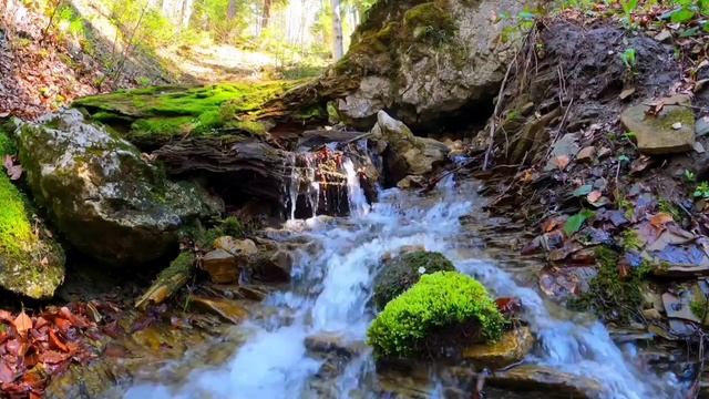 Лечебные звуки природы. Звуки природы которые лечат нервы Шум воды в лесном ручье. Звуки для сна