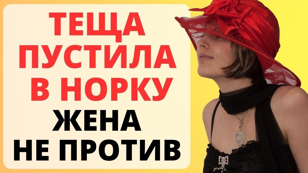 ТЕЩА пустила в НОРКУ / история из жизни