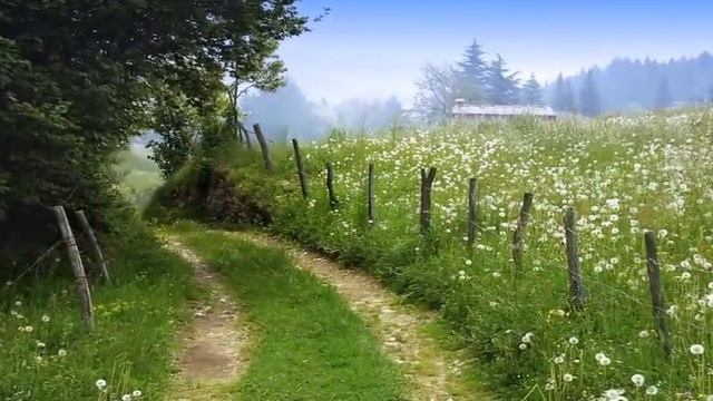 _Мне бы в юность вернуться_ Сергей Потапов