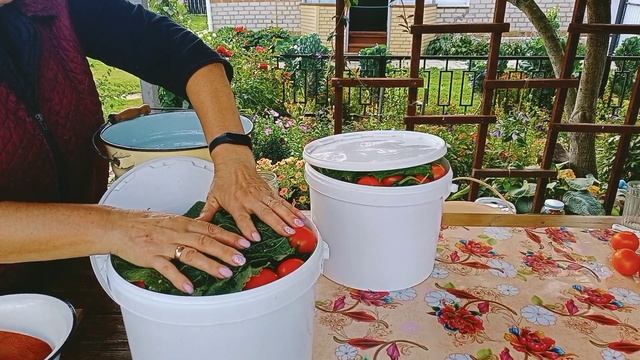 Помидоры в ведре - холодный способ.