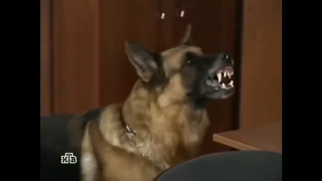 Самые смешные и убогие моменты из русских сериалов.
