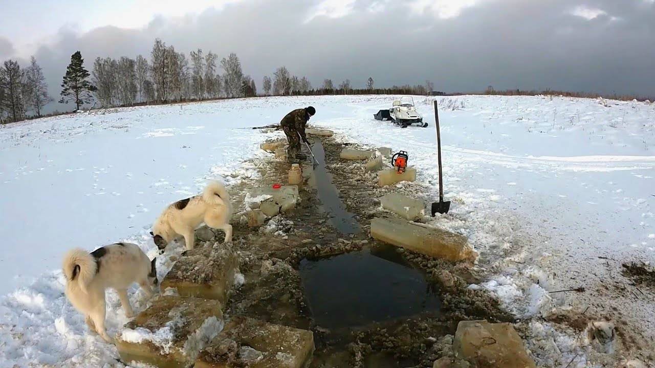 СУРОВАЯ ПРАВДА. ЧТО ПРОИСХОДИТ ЗИМОЙ С РЫБОЙ В МАЛЫХ ОЗЁРАХ.