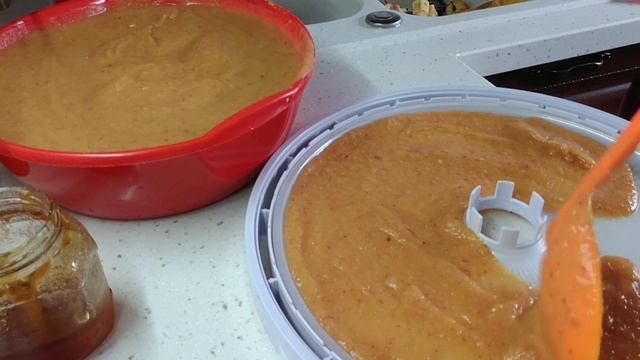 Пастила из яблок в электросушилке Ezidri - вкусное и полезное лакомство