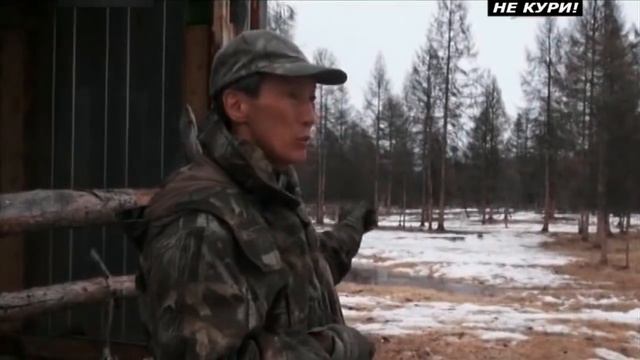 Охота на медведя в Якутии . 2018