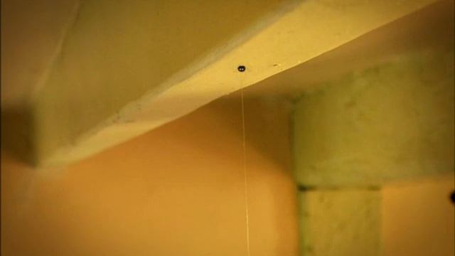 Букашки 2007 - 78 серий, без титров, без заставки (Minuscule, No credits, intro, opening) HD