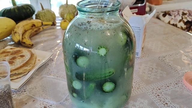 Солю огурцы с сухой горчицей.