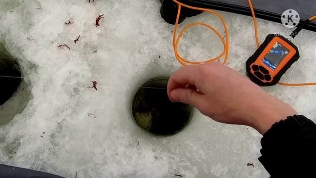 Рыбалка в палатке с ночёвкой! Зимняя рыбалка на поплавок. Можайское водохранилище.