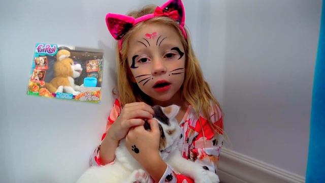Nastya is arranging a birthday for her kitty