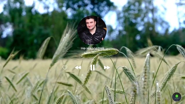 Арсен ШАХУНЦ Самые Лучшие Песни | 2021