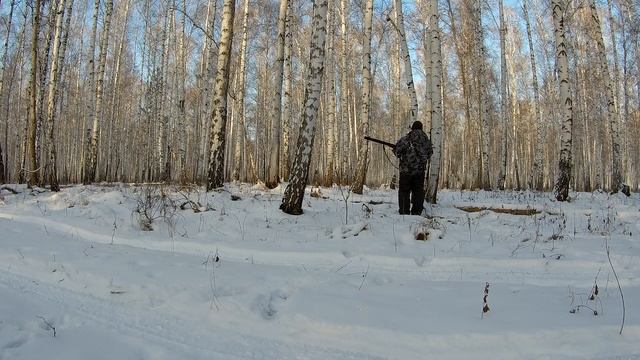 Охота на косулю