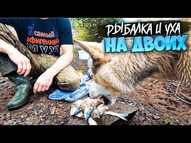 ТАЁЖНАЯ РЕЧКА.НАЛОВИЛ РЫБЫ.УХА НА ДВОИХ .РЫБАЛКА НА СПИННИНГ.
