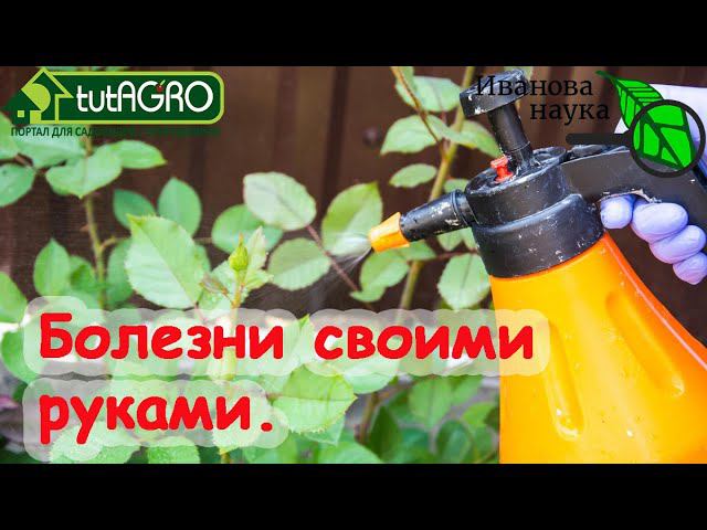 ПРЕВРАЩАЕМ ПОДКОРМКУ В СУПЕРПОДКОРМКУ! Кордесова пятнистость и другие осложнения листовых подкормок.
