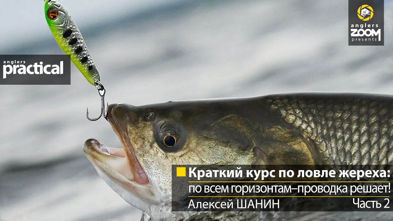 Краткий курс по ловле жереха: по всем горизонтам–проводка решает! Алексей Шанин. Часть 2