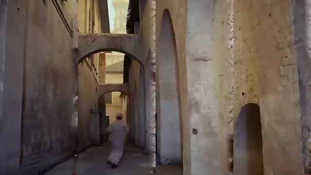 Жуки Лариска