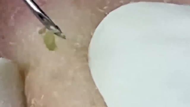 الوقت المناسب مع فيديوهات الغاز الطبيعي المسال #LNS10213