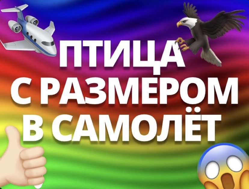 ПТИЦА С РАЗМЕРОМ В САМОЛЁТ??✈️