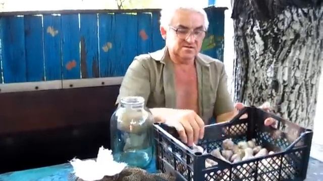 САМЫЙ ЛУЧШИЙ СПОСОБ ХРАНЕНИЯ ЧЕСНОКА.  КАК ХРАНИТЬ ОЗИМЫЙ ЧЕСНОК