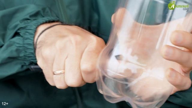 Как избавиться от крота на участке? Отпугиватель кротов своими руками. Как вывести крота с огорода?