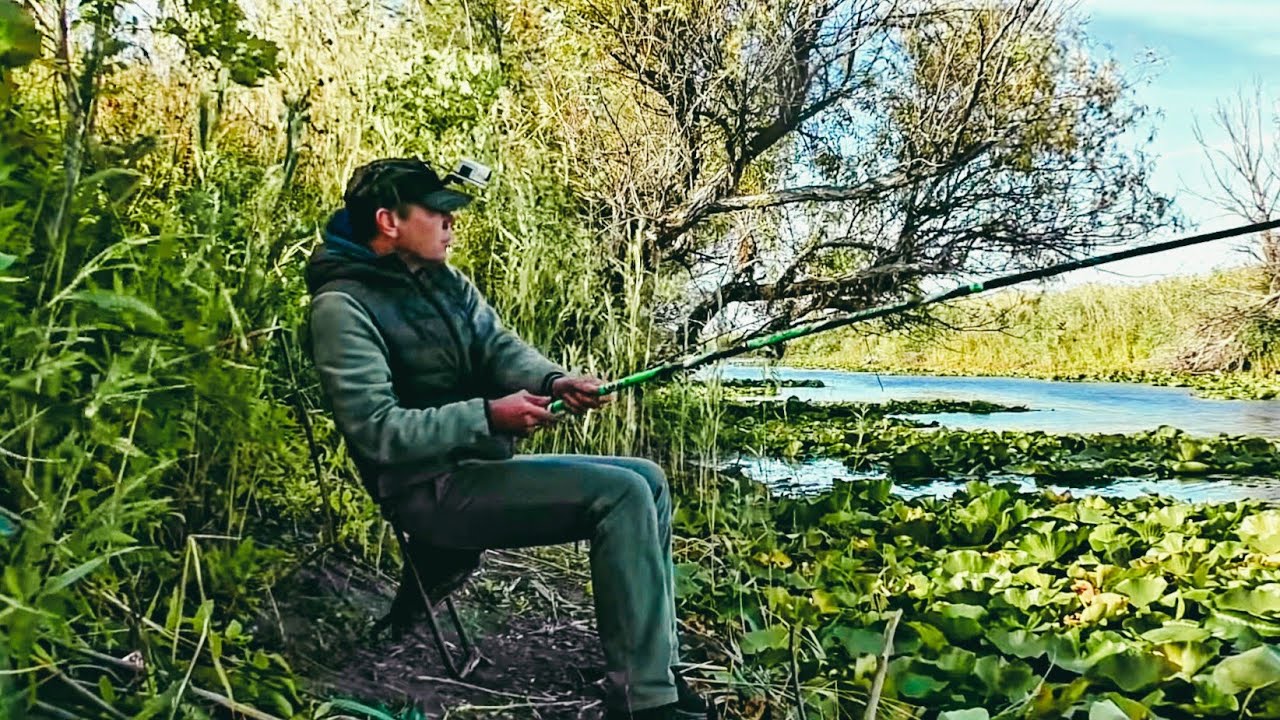 РЫБАЛКА НА КРУПНОГО КАРАСЯ. Клюёт, только закинь. Тут вся рыба и даже сазан. Рыбалка в Астрахани.