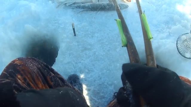 ПОЙМАЛ 15 ЩУК! ЗИМНЯЯ РЫБАЛКА НА МАХАЛКУ! ДИКАЯ ЩУКА РВЕТ СНАСТИ! Рыбалка на Амуре 2022