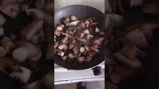 Мокруха еловая. Как выглядит. Приготовление с овощами.