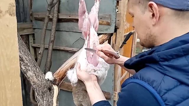 Как разделать кролика