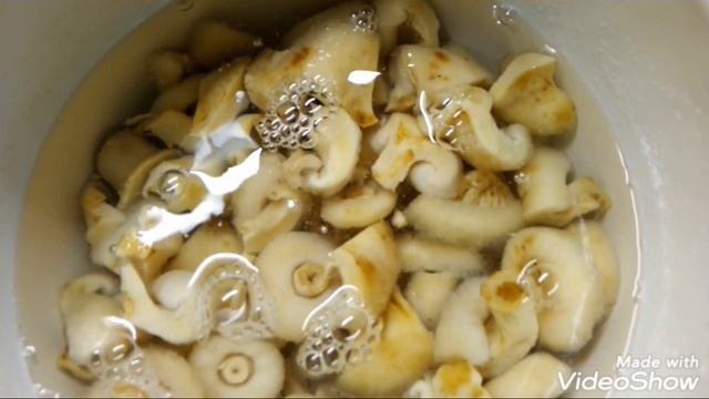 Как солить грузди горячим способом,. Самый простой вкусный рецепт