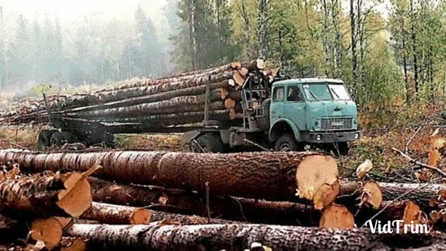 МАЗ 509 ЛЕСОВОЗ