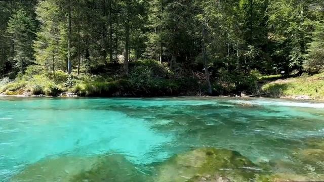 Звуки природы, Шум реки и Пение Лесных Птиц.4 часа Релаксации и Медитации.Relax