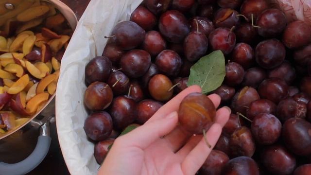 Что делать со сливами - четыре способа переработки слив на зиму и не только.