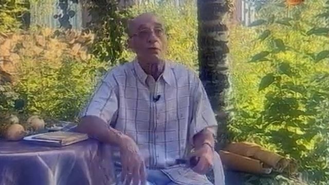 Валентин Непомнящий. А. С. Пушкин. Евгений Онегин. Часть 1