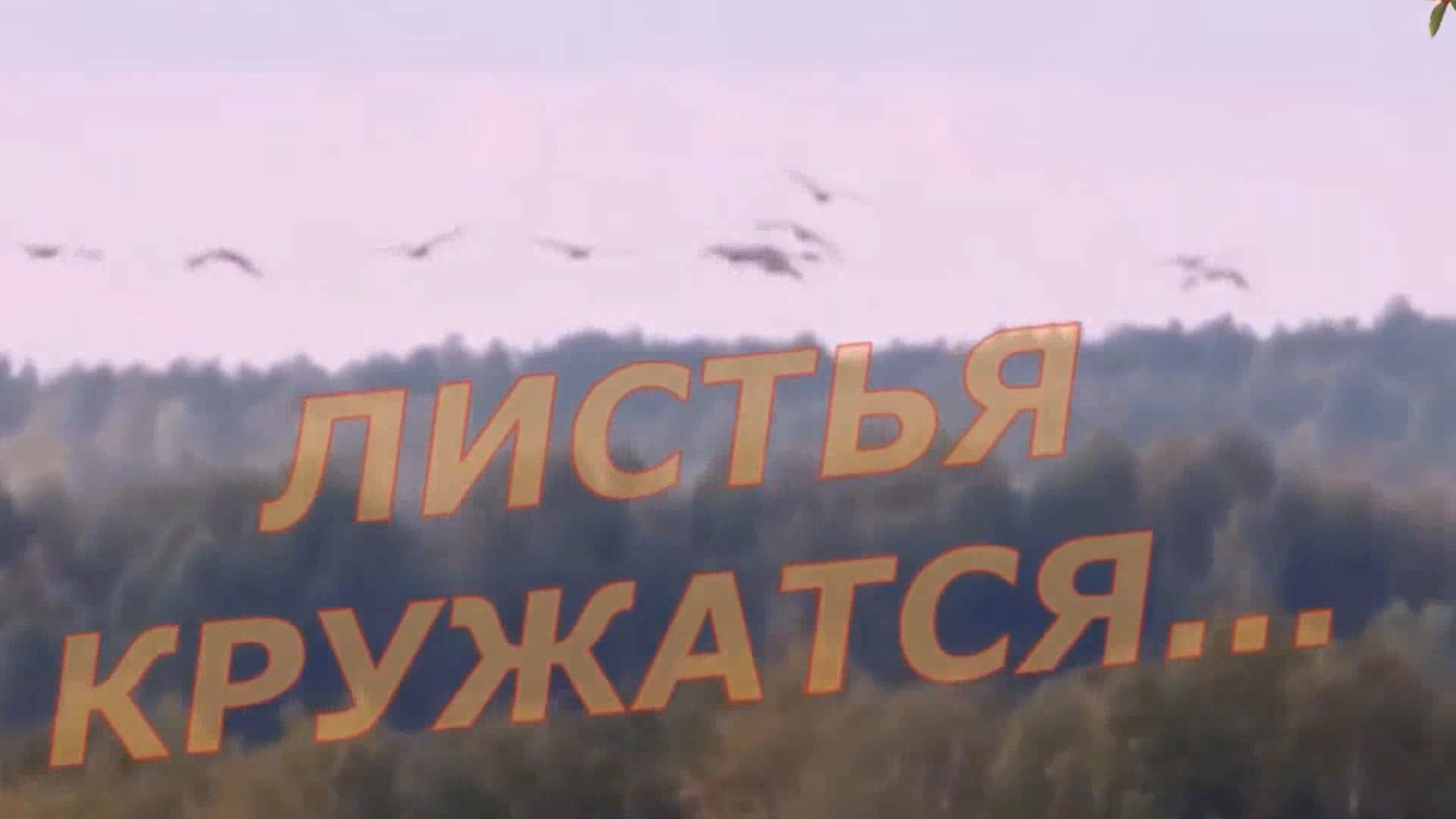 Андрей Картавцев - Листья кружатся!
