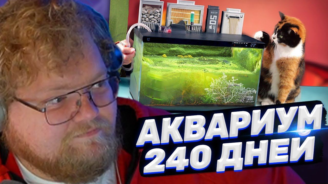 ТОХА T2x2 СМОТРИТ: АКВАРИУМ ИЗ БУДУЩЕГО - 240 ДНЕЙ СПУСТЯ