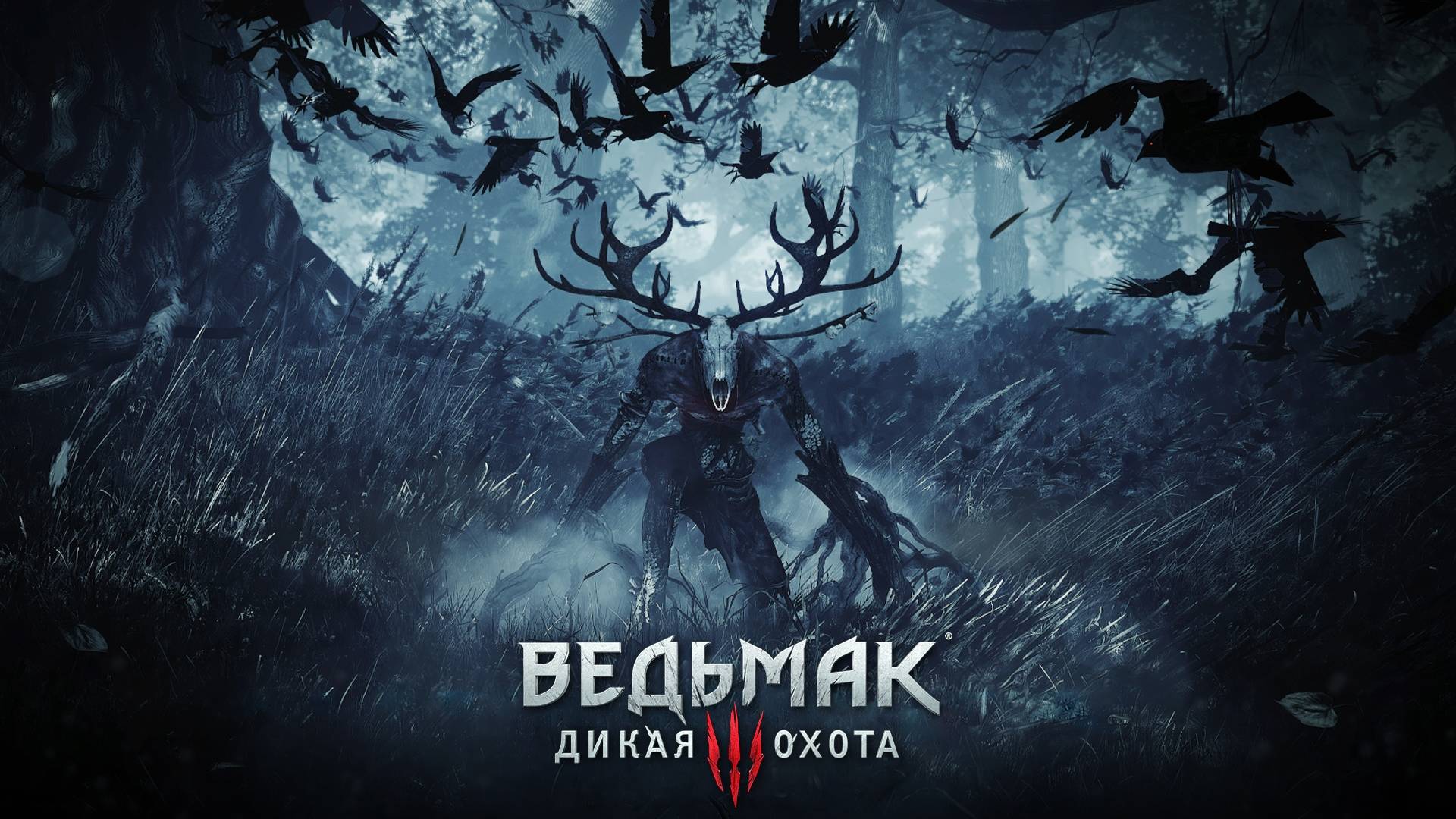 Ведьмак 3 Дикая охота прохождение сюжетной линий игры часть 3