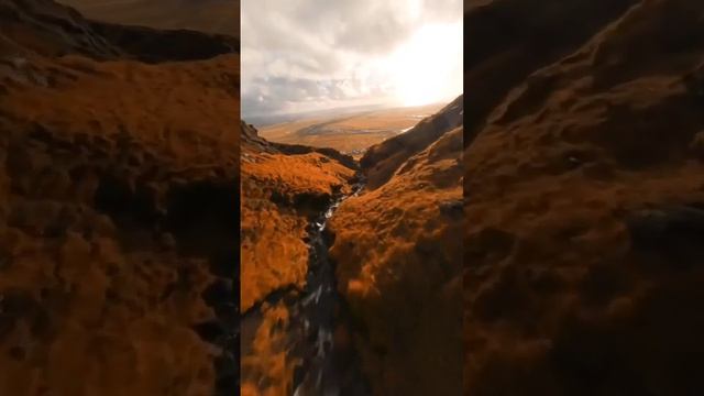 красота