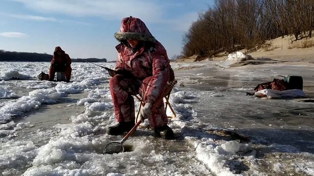 Ловля щуки зимой на реке Амур в начале декабря 2020. Щука без зубов? миф или реальность?
